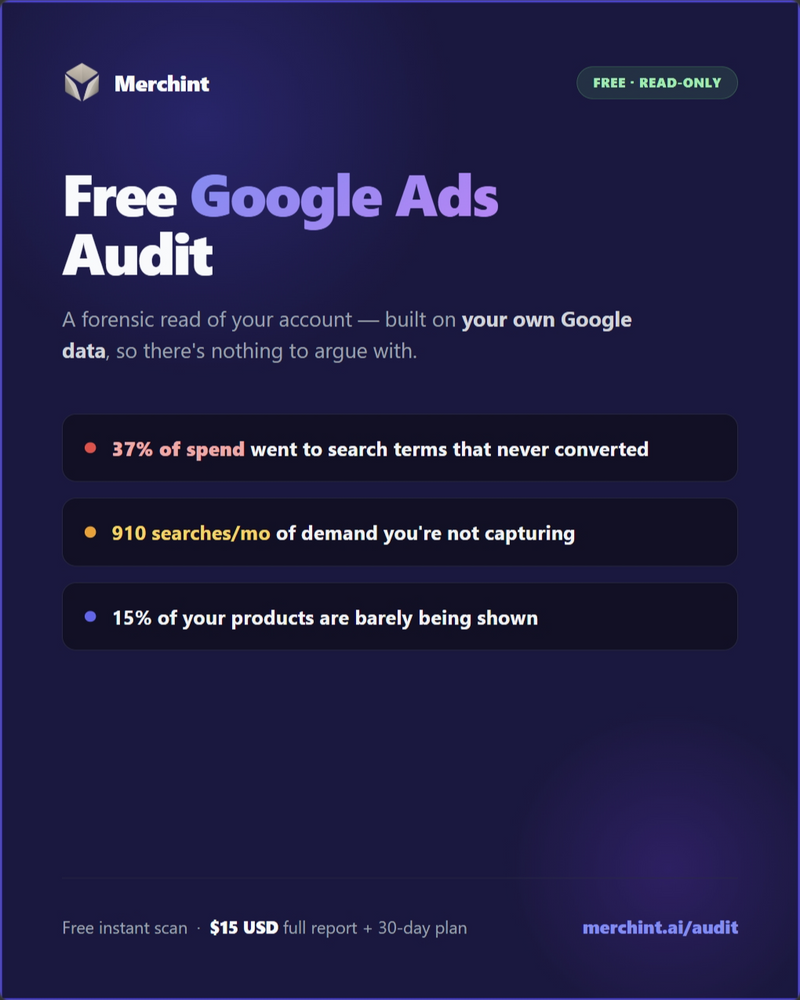 Merchint AI Google Audit